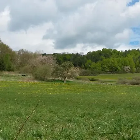 לינה וארוחת בוקר Brown Horses Ranch Reichenbach (Hessen)
