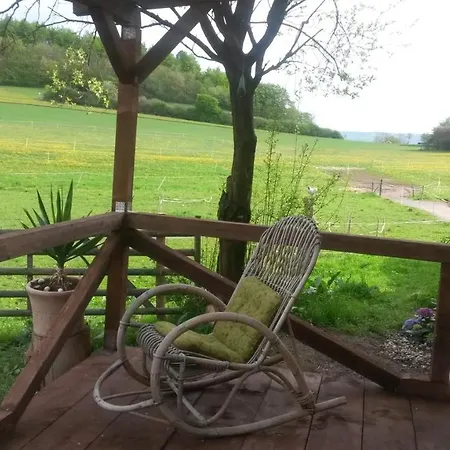 Brown Horses Ranch Reichenbach (Hessen)