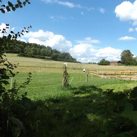 Brown Horses Ranch Reichenbach (Hessen)