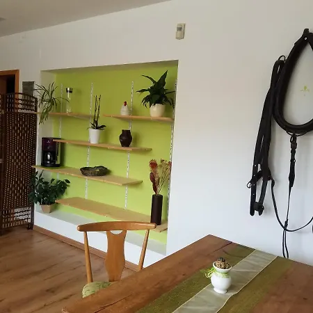 Brown Horses Ranch לינה וארוחת בוקר *