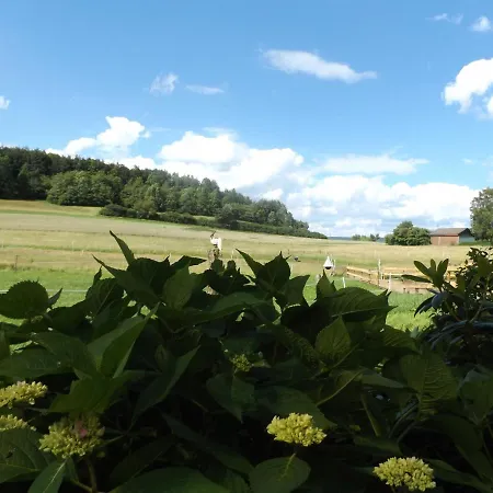 Brown Horses Ranch * Reichenbach (Hessen)